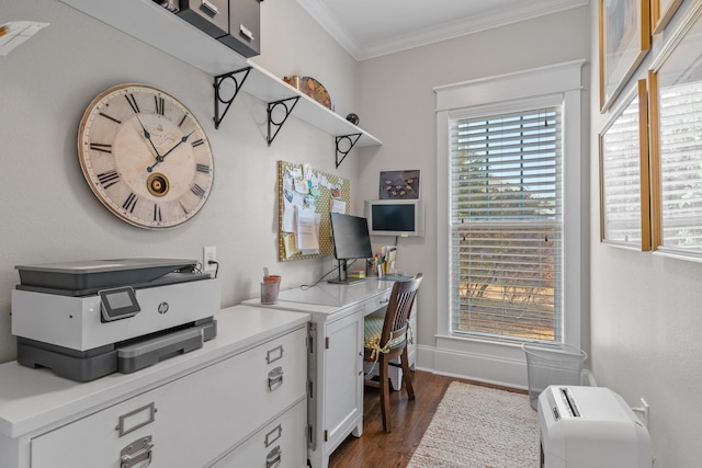 office area featuring ornamental molding and dark hardwood / wood-style floors