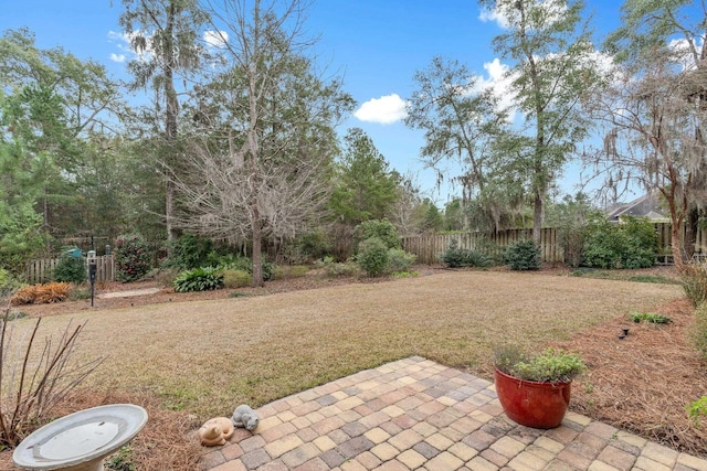 view of yard with a patio area