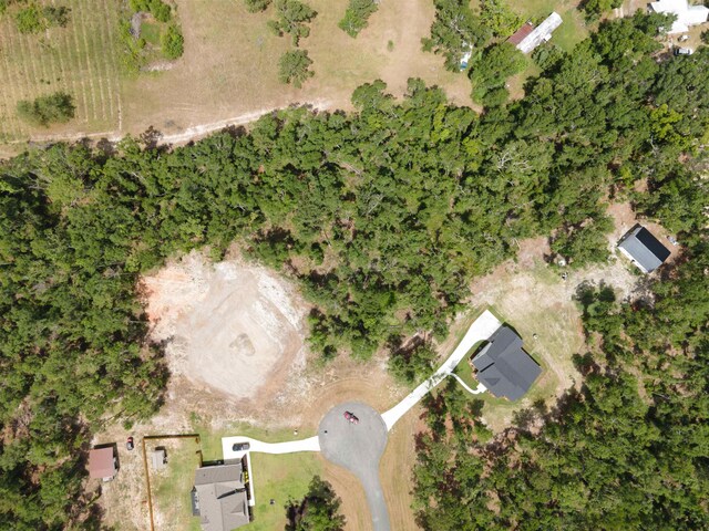 000 NE Oakwood Way, Pinetta, FL 32350 - photo 7