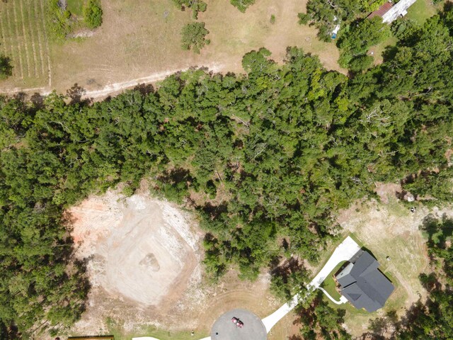000 NE Oakwood Way, Pinetta, FL 32350 - photo 11