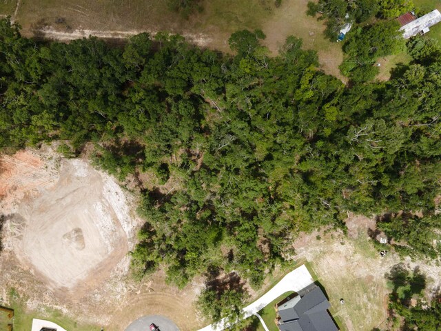 000 NE Oakwood Way, Pinetta, FL 32350 - photo 12