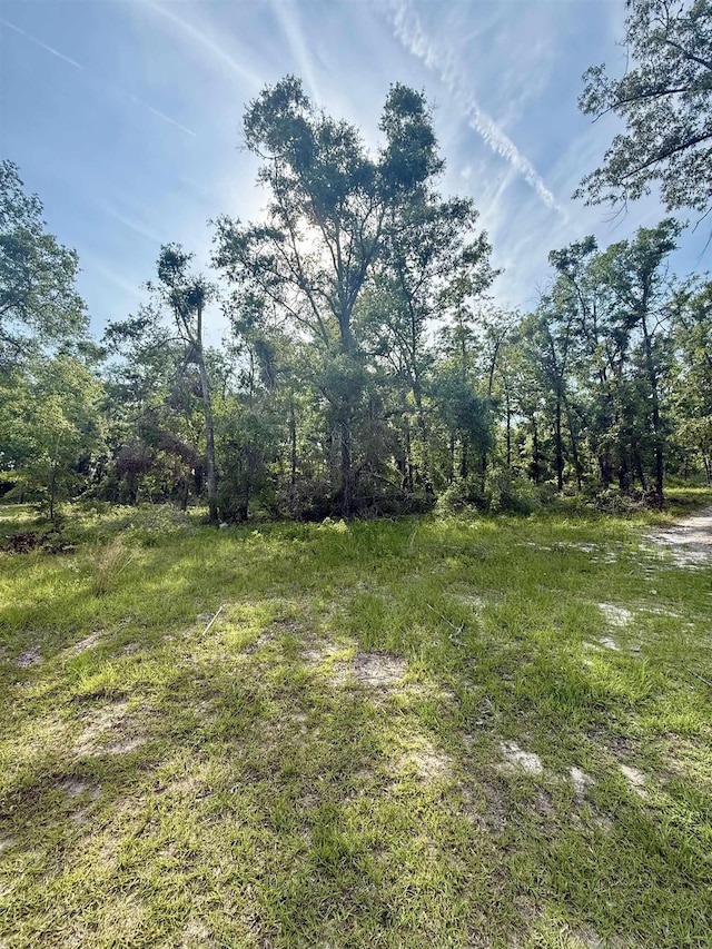 000 NE Oakwood Way, Pinetta Madison County, FL 32350