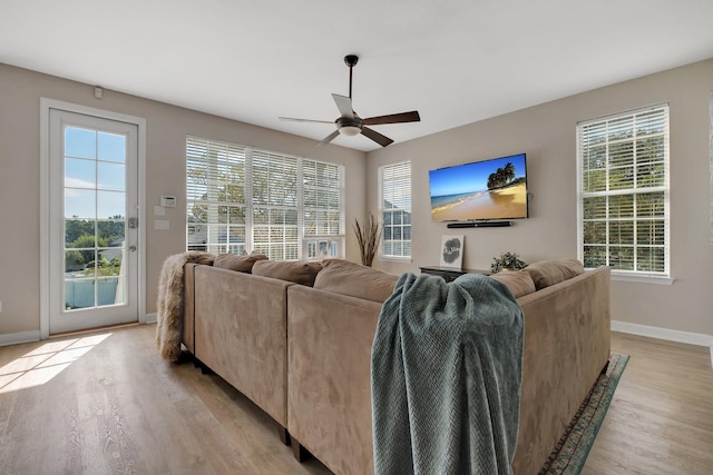 living room featuring ceiling fan and light hardwood / wood-style floors