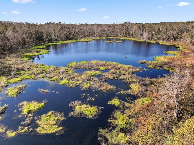 aerial view with a water view and a wooded view