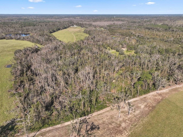 aerial view with a view of trees