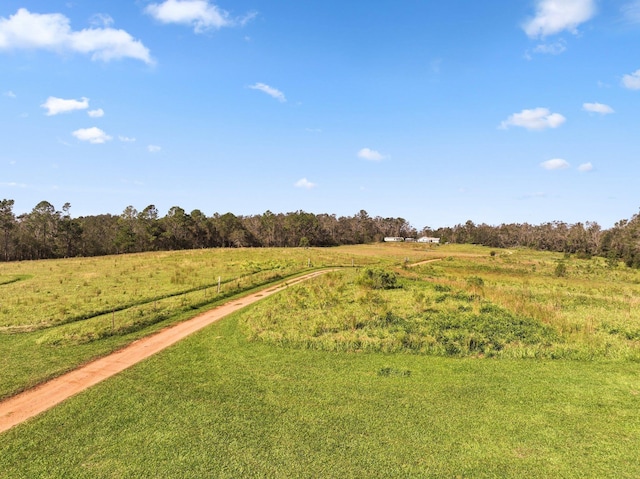 view of yard featuring a rural view