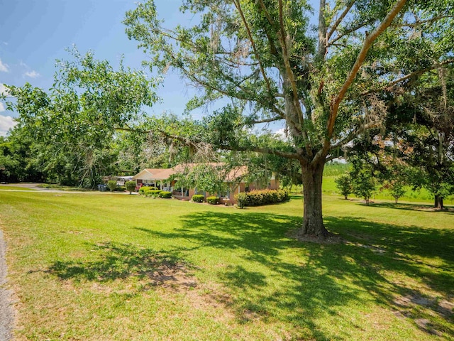 181 NE Biltmore Rd, Madison, FL 32340 - view of green lawn