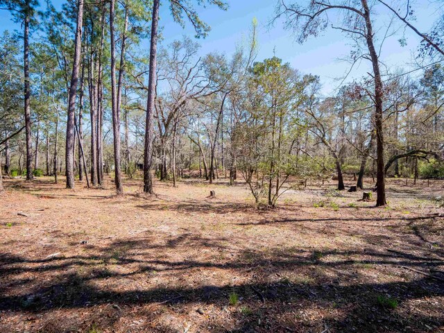 108 NE W Peppermint Trl, Pinetta Madison County, FL 32350 - photo 14
