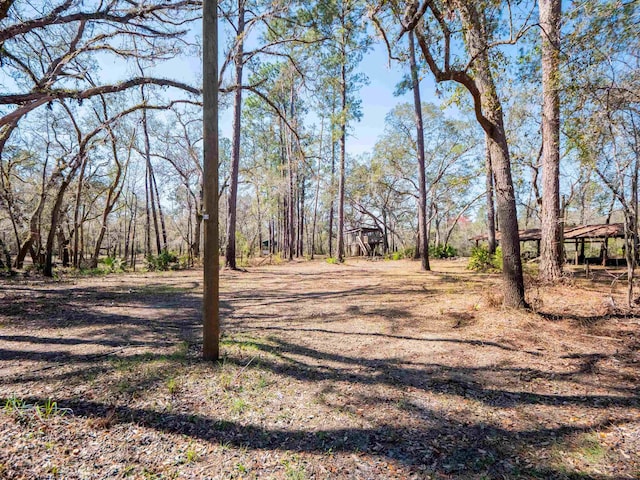 108 NE W Peppermint Trl, Pinetta Madison County, FL 32350 - photo 8