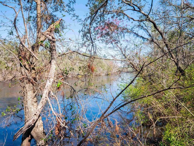 108 NE W Peppermint Trl, Pinetta Madison County, FL 32350 - photo 13