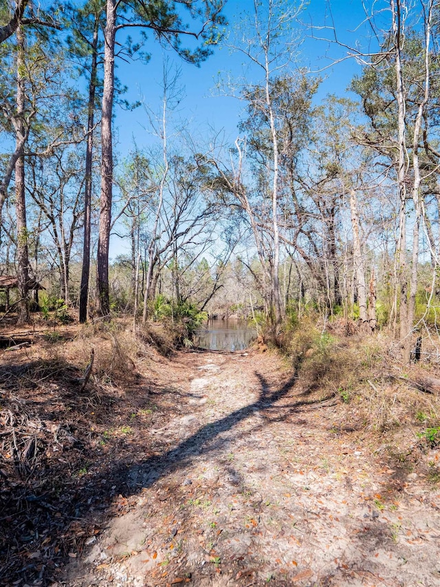 108 NE W Peppermint Trl, Pinetta Madison County, FL 32350 - photo 16