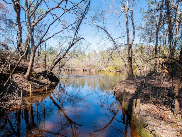108 NE W Peppermint Trl, Pinetta Madison County, FL 32350 - photo 17