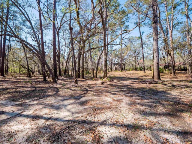 108 NE W Peppermint Trl, Pinetta Madison County, FL 32350 - photo 18