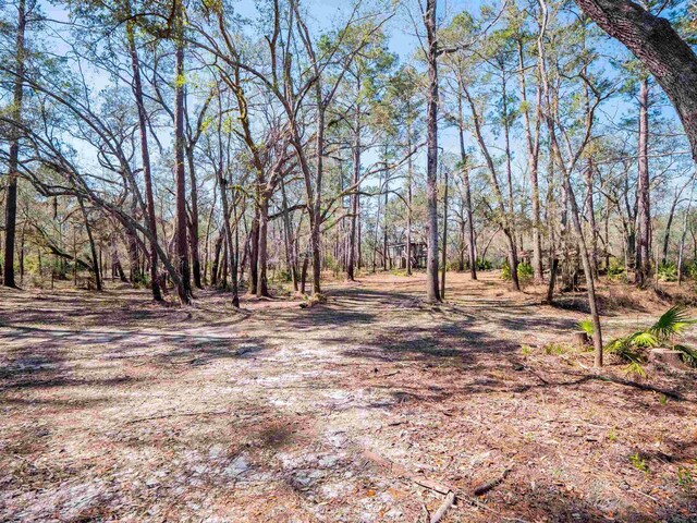 108 NE W Peppermint Trl, Pinetta Madison County, FL 32350 - photo 6