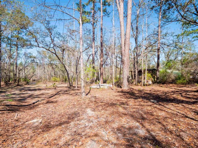 108 NE W Peppermint Trl, Pinetta Madison County, FL 32350 - photo 3