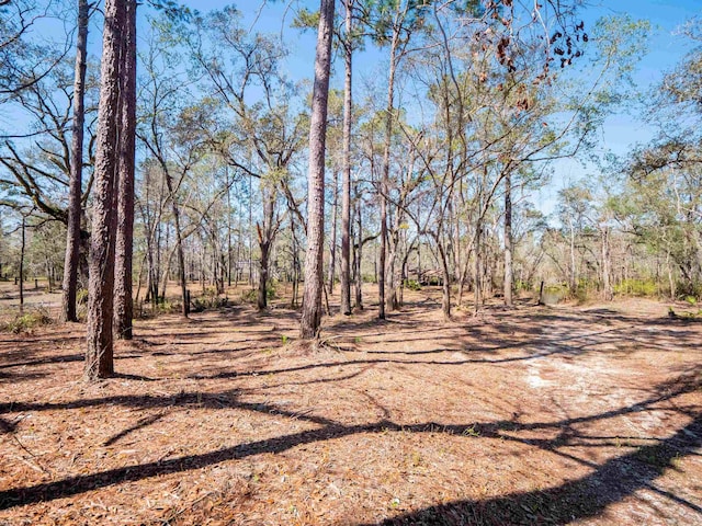 108 NE W Peppermint Trl, Pinetta Madison County, FL 32350 - photo 19