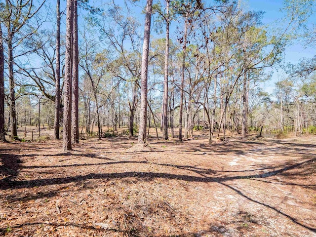 108 NE W Peppermint Trl, Pinetta Madison County, FL 32350 - photo 2
