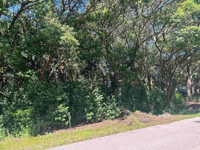 XXX NW 6th St, Carrabelle FL, 32322 land for sale