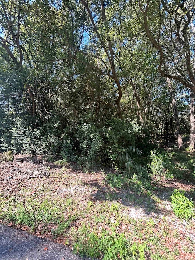 Listing photo 2 for XXX NW 6th St, Carrabelle FL 32322