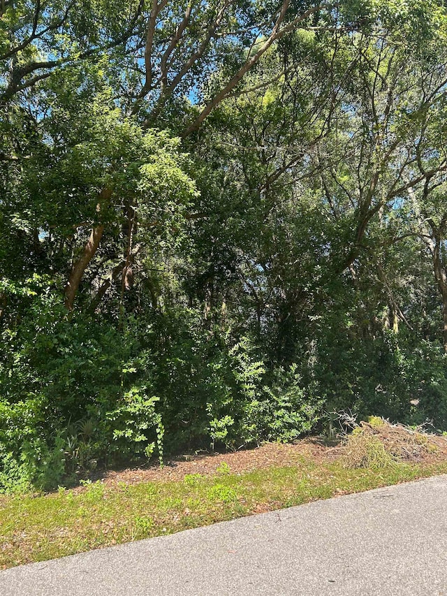 Listing photo 3 for XXX NW 6th St, Carrabelle FL 32322