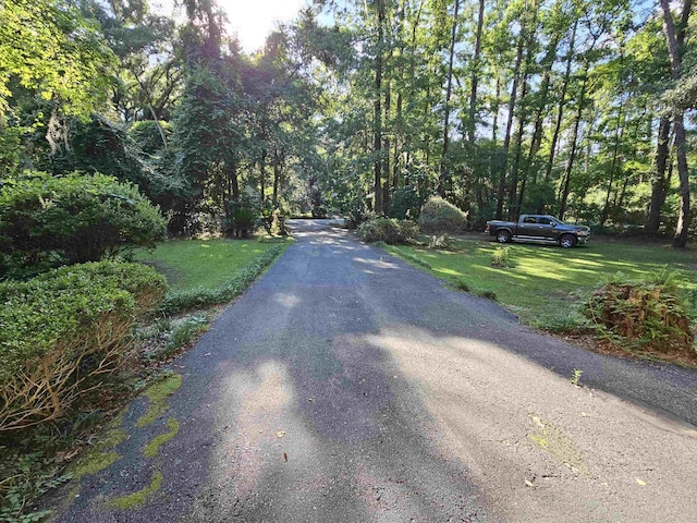 3429 Lakeshore Dr, Tallahassee, FL 32312 - photo 3