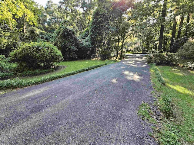 3429 Lakeshore Dr, Tallahassee, FL 32312 - photo 47