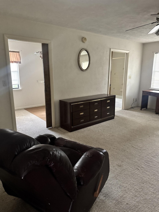 4028 Ardara Dr, Tallahassee, FL 32309 - photo 8
