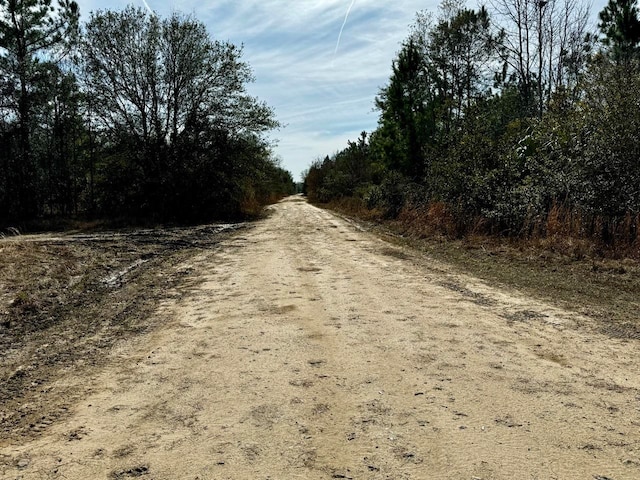 Listing photo 2 for Vacant 62 Road, Lamont FL 32336