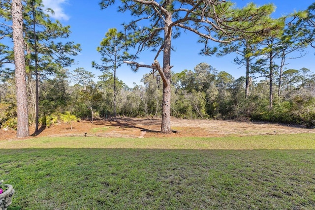 396 Royal Tern Way, Carrabelle, FL 32322 - photo 30