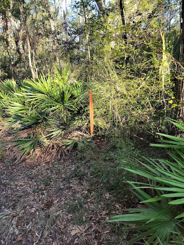 Listing photo 3 for Lot47 Nw Camp Azalea Road, FL 32626