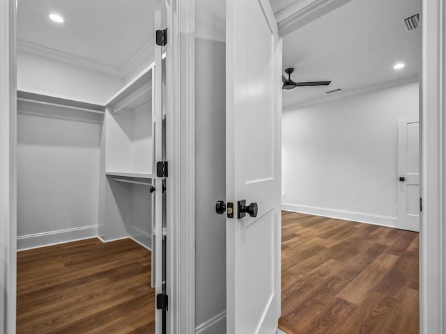 walk in closet with dark wood-type flooring