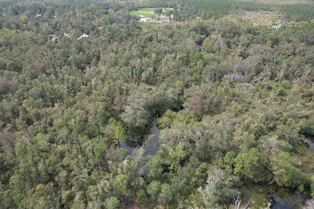 Tbd, Mayo FL, 32066 land for sale