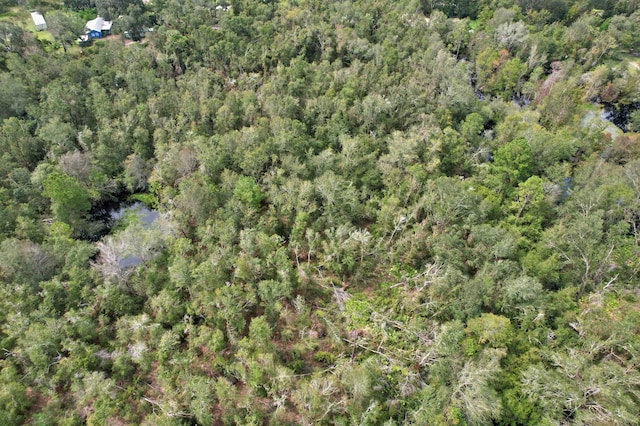 Listing photo 3 for Tbd, Mayo FL 32066