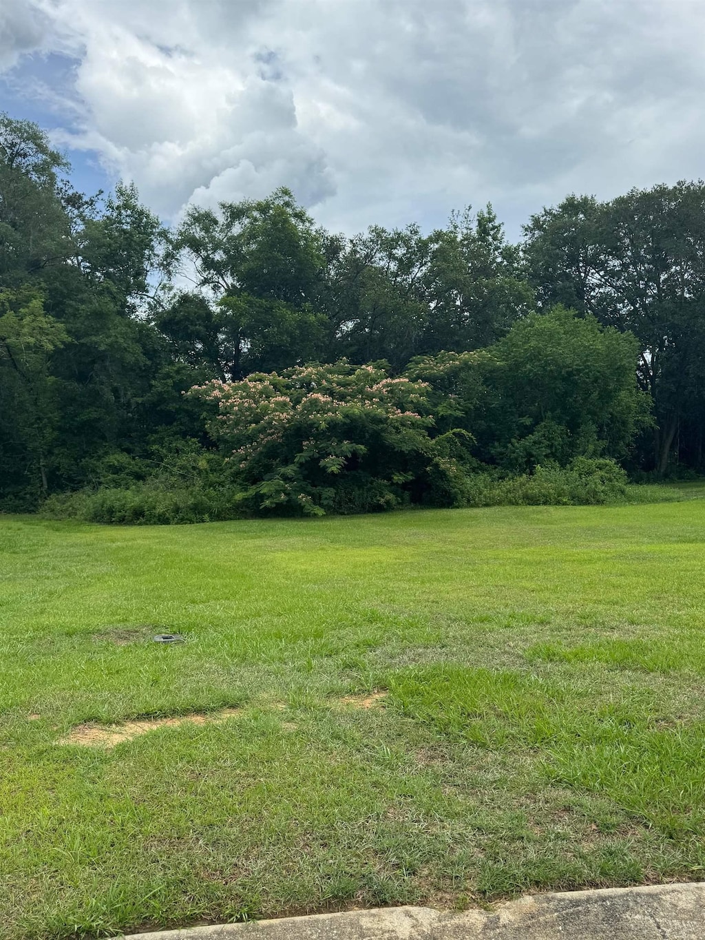 120 Tranquility Ln, Havana, FL 32333