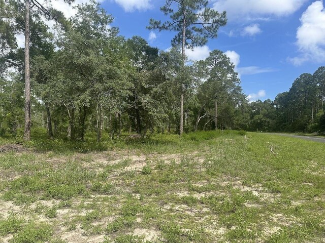 xx Ramsey Way -, Panacea, FL 32346 - photo 7