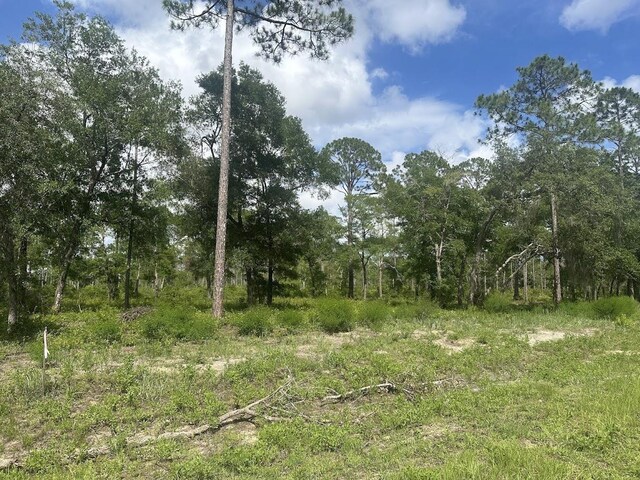 xx Ramsey Way -, Panacea, FL 32346 - photo 5