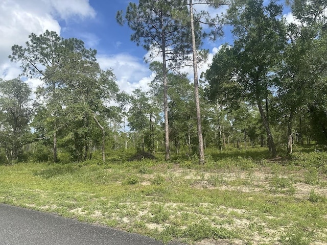 xx Ramsey Way -, Panacea, FL 32346 - photo 2
