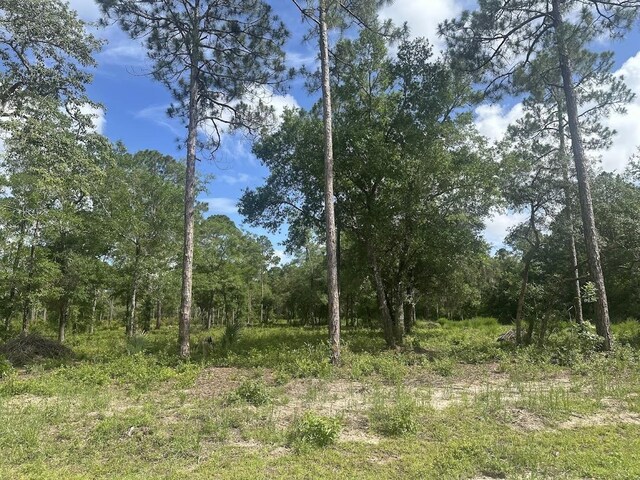 xx Ramsey Way -, Panacea, FL 32346 - photo 8