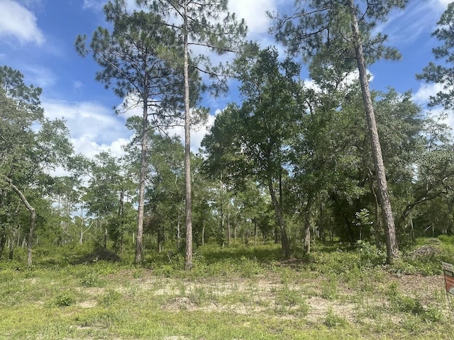 xx Ramsey Way -, Panacea, FL 32346 - photo 3
