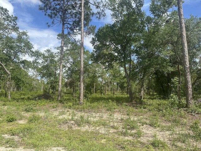 xx Ramsey Way -, Panacea, FL 32346 - photo 6