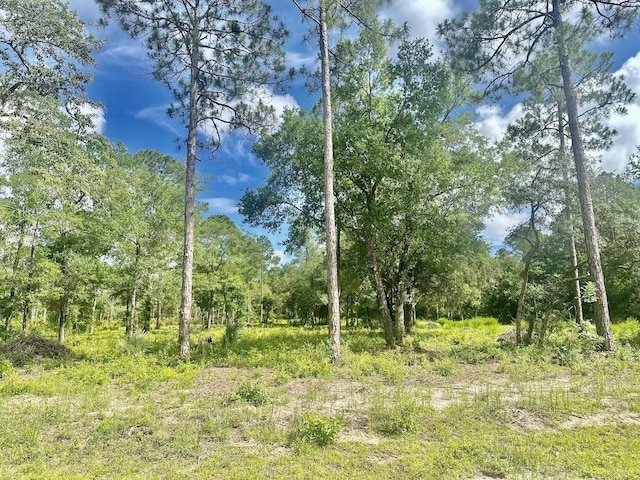 xx Ramsey Way -, Panacea, FL 32346 - photo 4