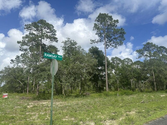 xx Ramsey Way -, Panacea, FL 32346 - photo 1