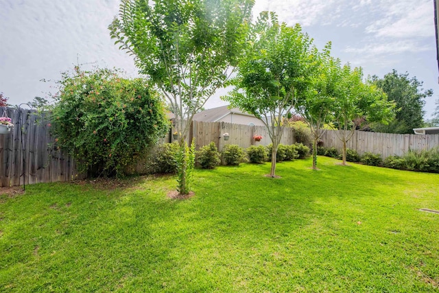9321 Royal Troon Dr, Tallahassee, FL 32312 - view of yard
