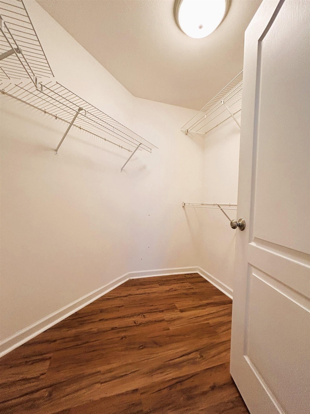9321 Royal Troon Dr, Tallahassee, FL 32312 - spacious closet with dark wood finished floors