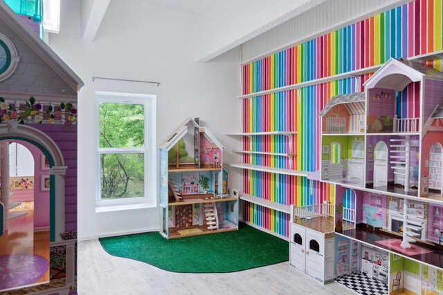 playroom featuring hardwood / wood-style flooring