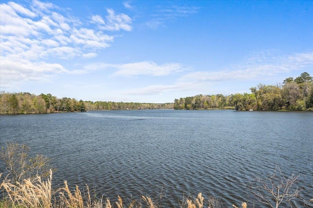 property view of water featuring a wooded view