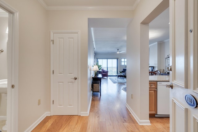 121 N Monroe St Unit 1103, Tallahassee, FL 32301 - corridor with light wood-style flooring, crown molding, and baseboards