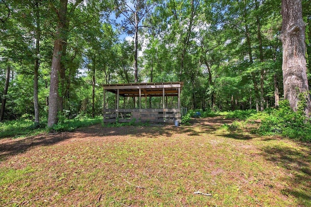 147 Hawk Ridge Dr, Havana, FL 32333 - view of yard