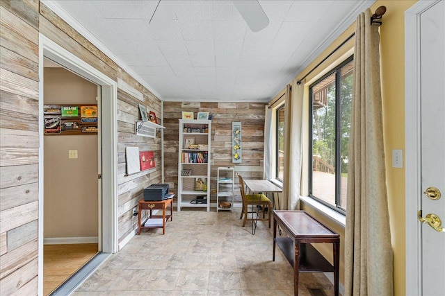storage with ceiling fan