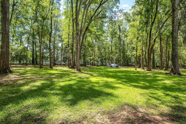 523 Tung Hill Dr, Tallahassee, FL 32317 - photo 36